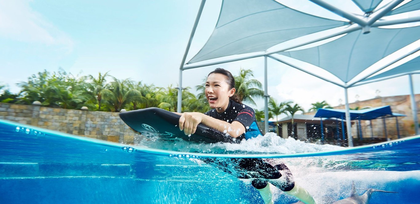 One day tour in Singapore - Dolphin Adventure